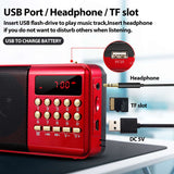 Portable Pocket LCD Digital FM Radio Speaker USB TF AUX MP3 Player