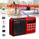 Portable Pocket LCD Digital FM Radio Speaker USB TF AUX MP3 Player